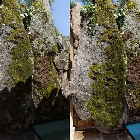Smeralda Punta Lada Villa *
